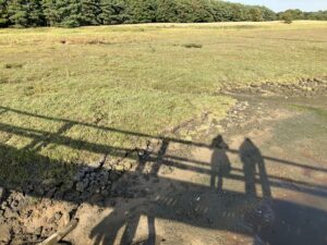 view over saltmarsh with the shadow of a raised bordwalk with two people standing on it.