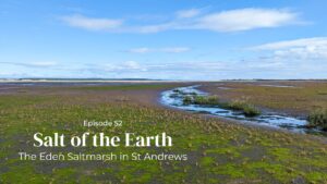 title picture with text Episode 52 Salt of the Earth Eden Saltmarsh in St Andrews